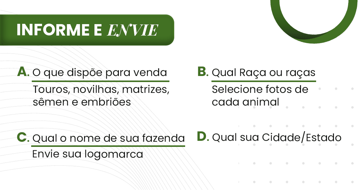 Catálogo - Passo 2