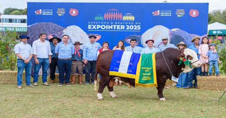 Expointer