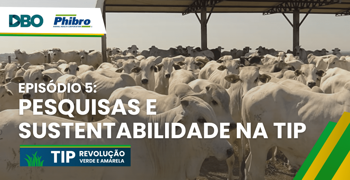 sustentabilidade tip pesquisas
