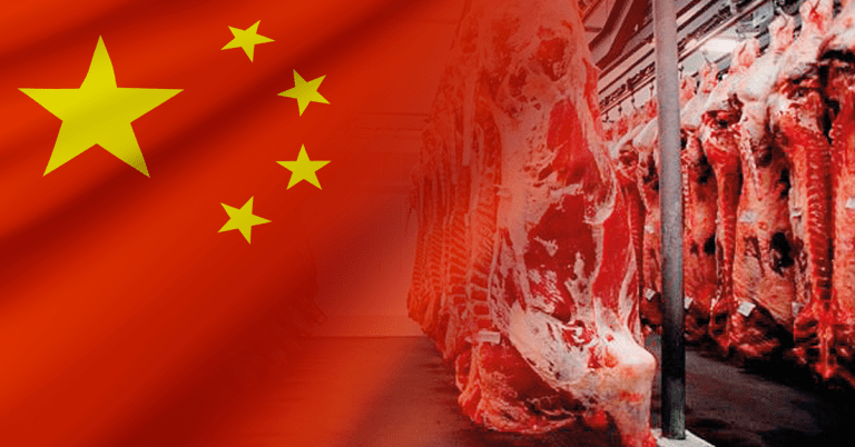 Exportações de carne bovina para China
