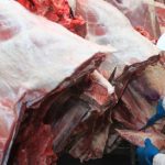 Carne bovina
