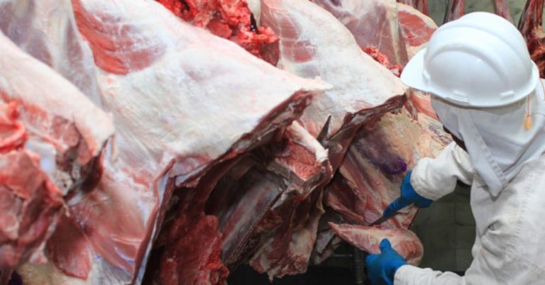 Carne bovina