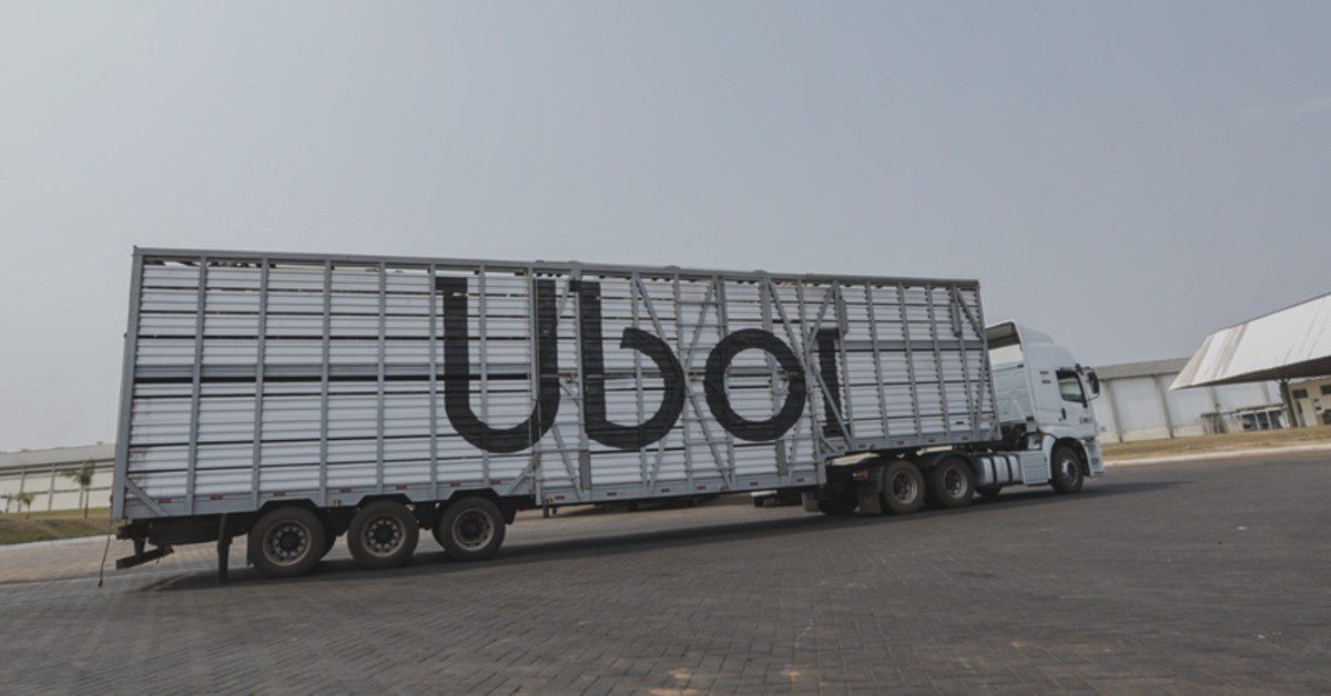 Uboi