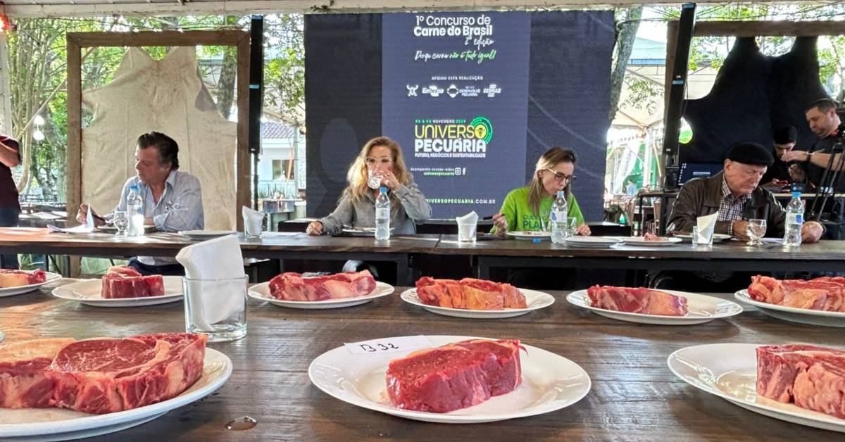 Concurso carne bovina