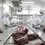 Carne bovina no frigorifico