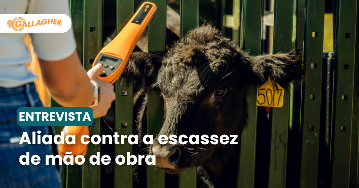 Além de otimizar, novas tecnologias também ajudam a qualificar a mão de obra pecuária